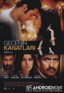 Крылья в ночи / Gecenin kanatlari