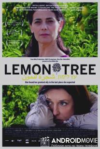 Лимонное дерево / Etz Limon
