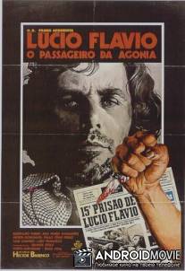Лусиу Флавиу, агонизирующий пассажир / Lucio Flavio, o Passageiro da Agonia
