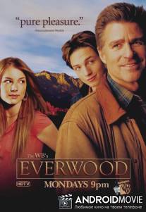 Любовь вдовца / Everwood