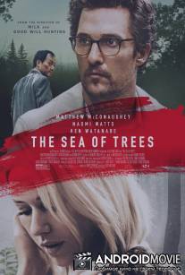 Море деревьев / Sea of Trees, The