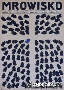 Муравейник / Hangyaboly