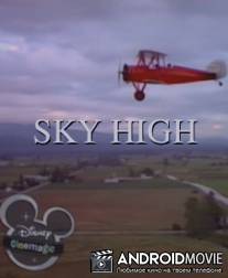 Небо высоко / Sky High