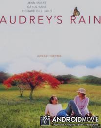 Одри и её дождь / Audrey's Rain