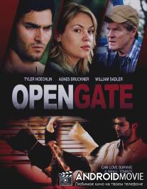Открытые ворота / Open Gate