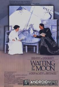 Ожидая Луну / Waiting for the Moon