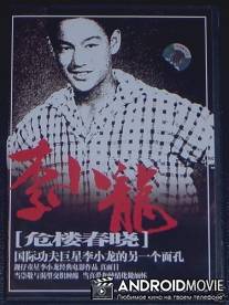 Перед лицом разрушения / Wei lou chun xiao