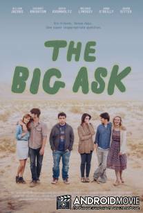 Плюшевые мишки / Teddy Bears