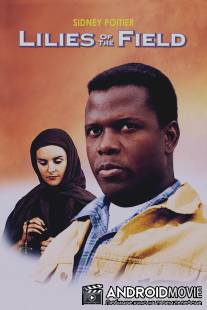 Полевые лилии / Lilies of the Field