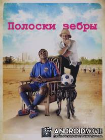 Полоски зебры / Les rayures du zebre