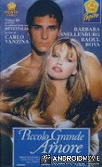 Прекрасная принцесса / Piccolo grande amore