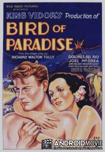 Райская птичка / Bird of Paradise