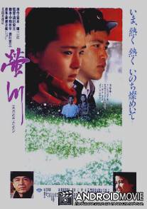 Река светлячков / Hotaru-gawa