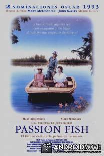 Рыба страсти / Passion Fish