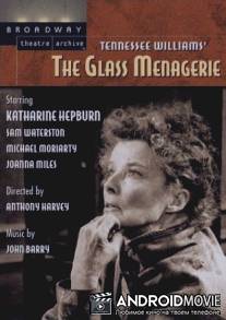 Стеклянный зверинец / Glass Menagerie, The