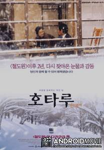 Светлячок / Hotaru