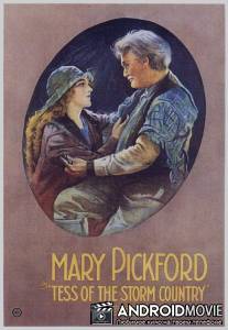 Тэсс из страны бурь / Tess of the Storm Country