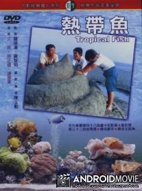 Тропические рыбы / Re dai yu