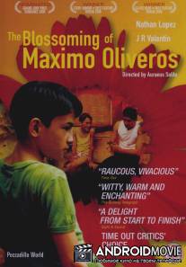 Цветение Максимо Оливероса / Ang pagdadalaga ni Maximo Oliveros