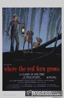 Цветок красного папоротника / Where the Red Fern Grows