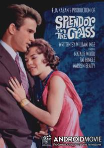 Великолепие в траве / Splendor in the Grass