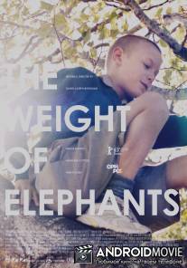 Вес слонов / Weight of Elephants, The