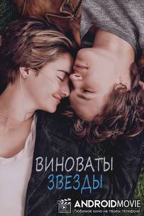 Виноваты звезды / Fault in Our Stars, The