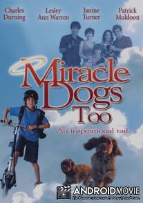 Зак и чудо-собаки / Miracle Dogs Too