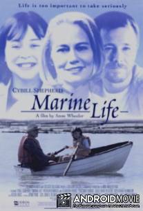 Жизнь в подводном мире / Marine Life