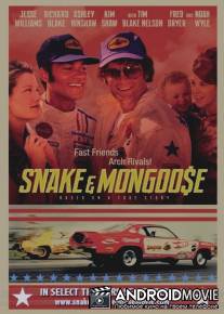 Змея и Мангуст / Snake and Mongoose