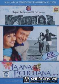 Знакомая незнакомка / Jaana Pehchana