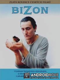 Бизон / Bizon