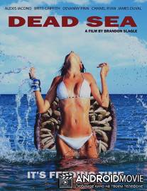 Мёртвое море / Dead Sea