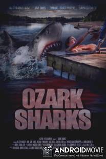 Озаркские акулы / Ozark Sharks