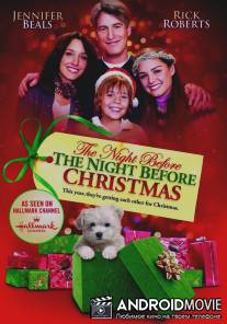 Рождественские приключения семейства Фоксов / Night Before the Night Before Christmas, The