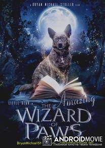 Волшебные лапы / The Amazing Wizard of Paws
