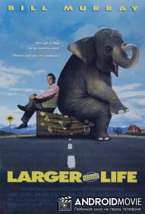 Больше, чем жизнь / Larger Than Life
