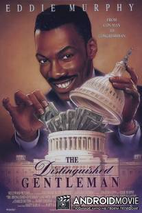 Достопочтенный джентльмен / Distinguished Gentleman, The