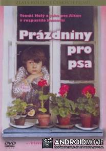 Каникулы для собаки / Prazdniny pro psa