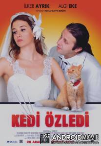 Кошки были пропущены / Kedi Ozledi