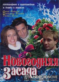 Новогодняя засада / Novogodnyaya zasada