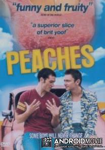 Персики / Peaches