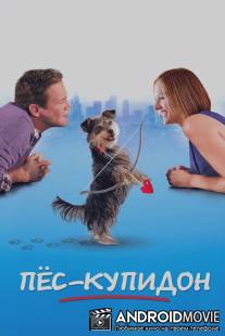 Пес-купидон / Gabe the Cupid Dog