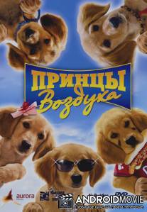 Принцы воздуха / Air Buddies