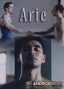 Арии / Arie