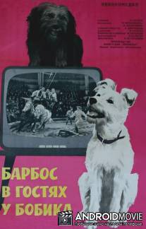 Барбос в гостях у Бобика / Barbos v gostyah u Bobika
