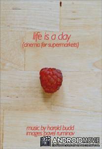 Life Is A Day