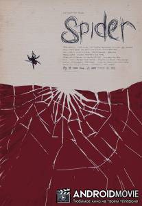 Паук / Spider