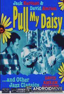 Погадай на ромашке / Pull My Daisy