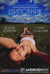 Шиповник / Shipovnik